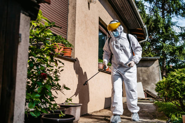 Best Mosquito Control Services  in Eureka Mill, SC