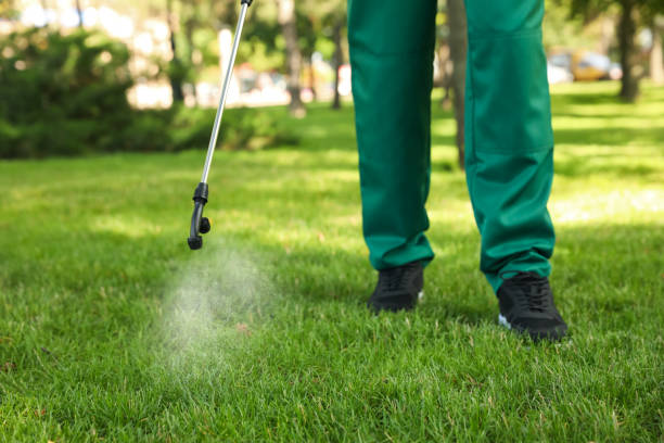 Best Termite Control Services  in Eureka Mill, SC