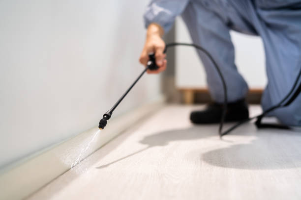 Best Residential Pest Control  in Eureka Mill, SC