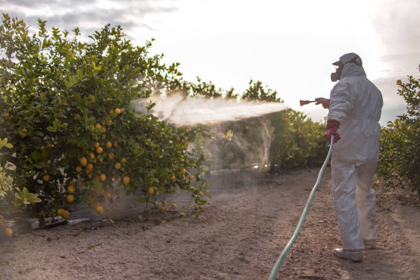 Best Best Pest Control Near Me  in Eureka Mill, SC