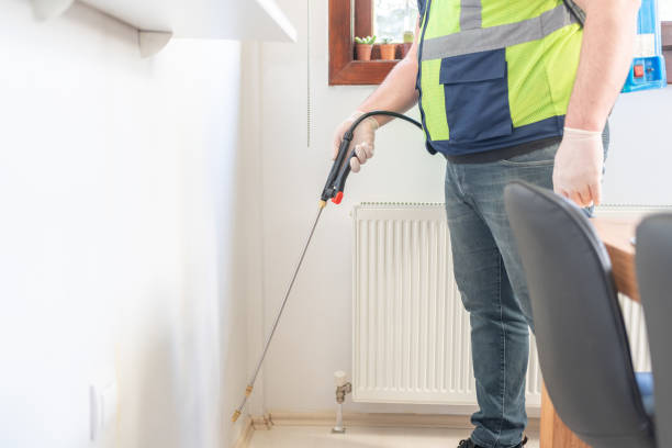 Best Termite Control Services  in Eureka Mill, SC
