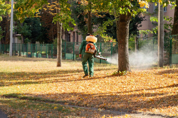 Best Flea Control Services  in Eureka Mill, SC