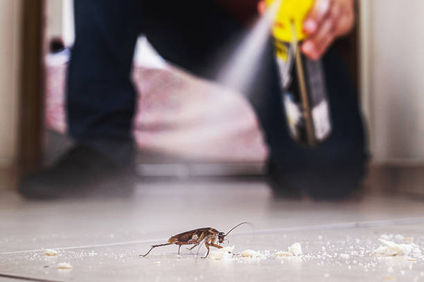 Best Rodent Control Near Me  in Eureka Mill, SC